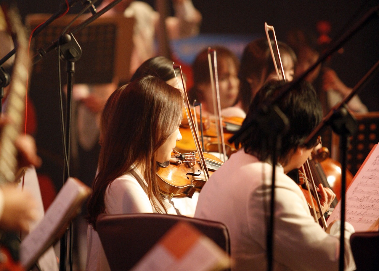 orchestra, music, orchestra division-2496505.jpg